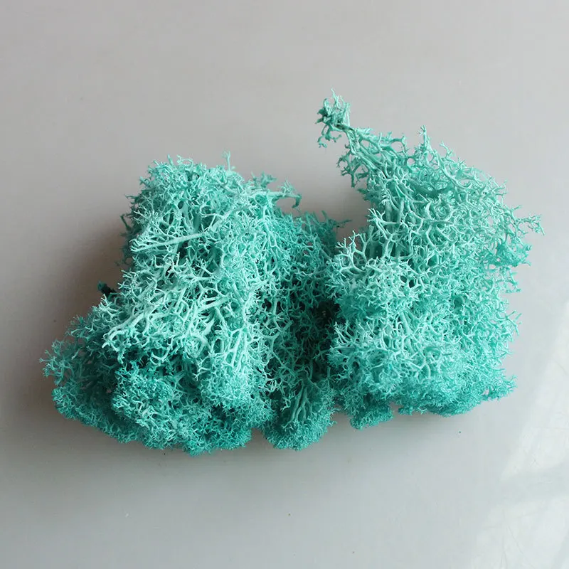 Tiffany-blue Йо Чо натуральный норвежский олень мох консервированный сушеный ремесло цветок тычинки украшение свадебное украшение для сказочного сада декор мускус - Цвет: Tiffany-blue