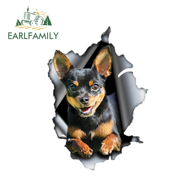EARLFAMILY 13 см x 9 черная и желтая Автомобильная наклейка Чихуахуа рваная
