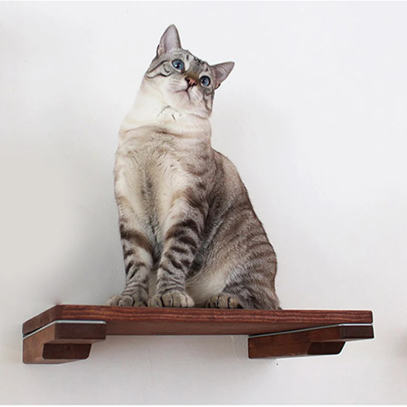 Твердая настенная полка для кошек лазающая рама гамак на дерево мебель домашних