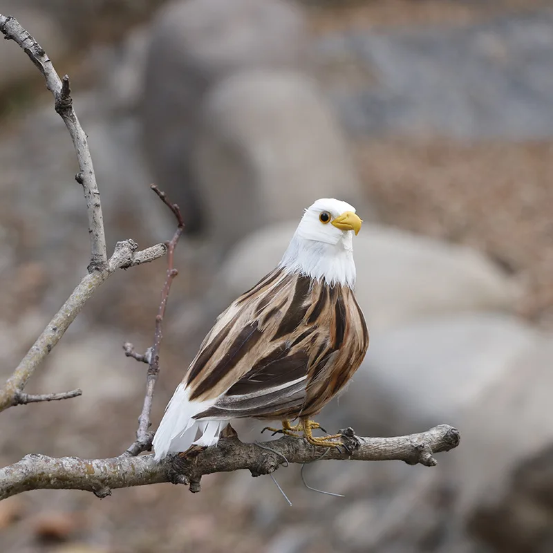 1 шт. декоративные птицы в виде орла Искусственные Птицы для творчества на день