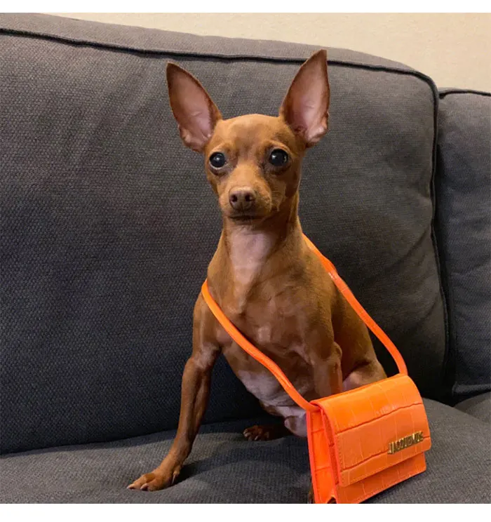CASMOR дизайнерские сумки известного бренда Jacquemus, женские маленькие сумки, модные сумки на плечо с буквенным принтом, женские мини-сумки-мессенджеры
