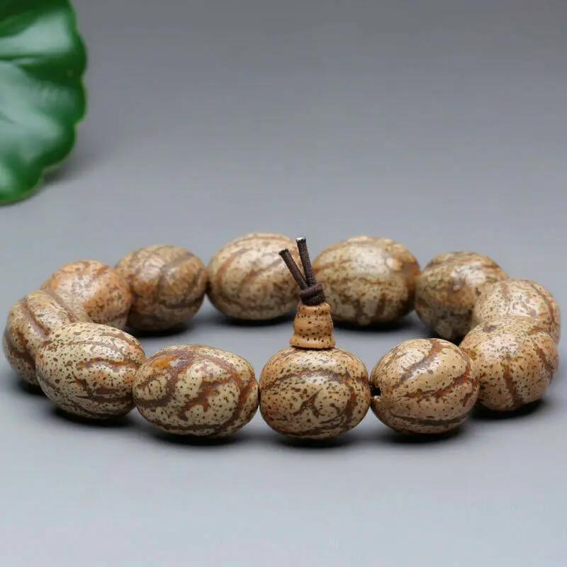 

17 мм оригинальная Магнитная тибетская буддистская фотография