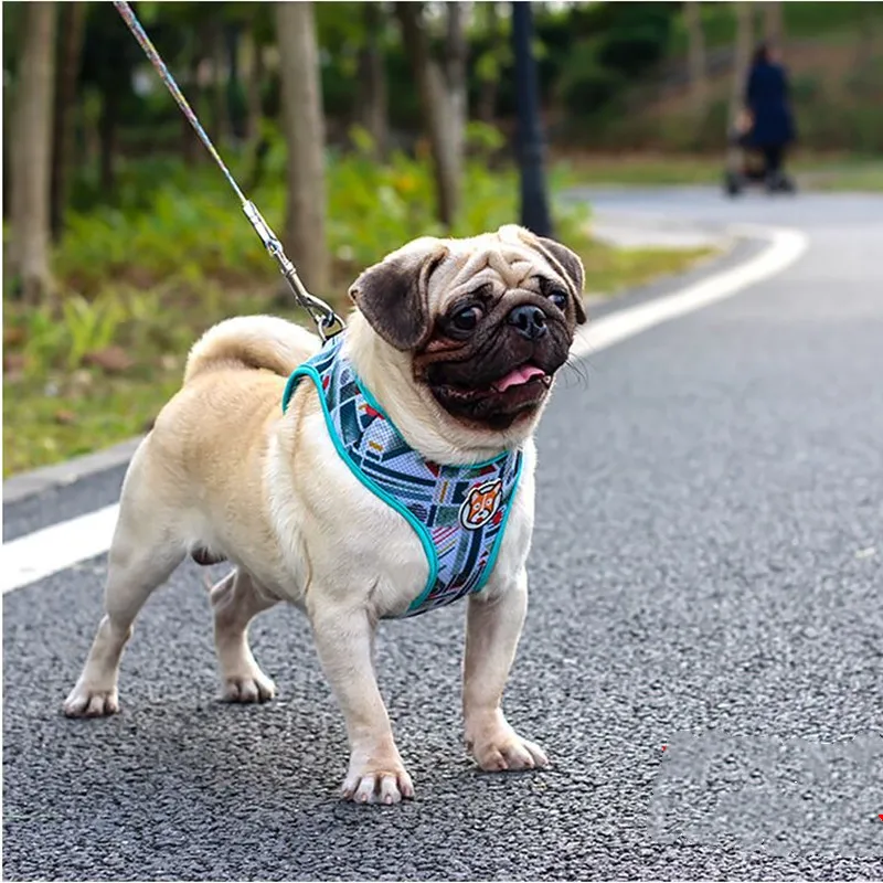 Жгут для собак тренировочная жилетка питомцев среднего и малого размера с