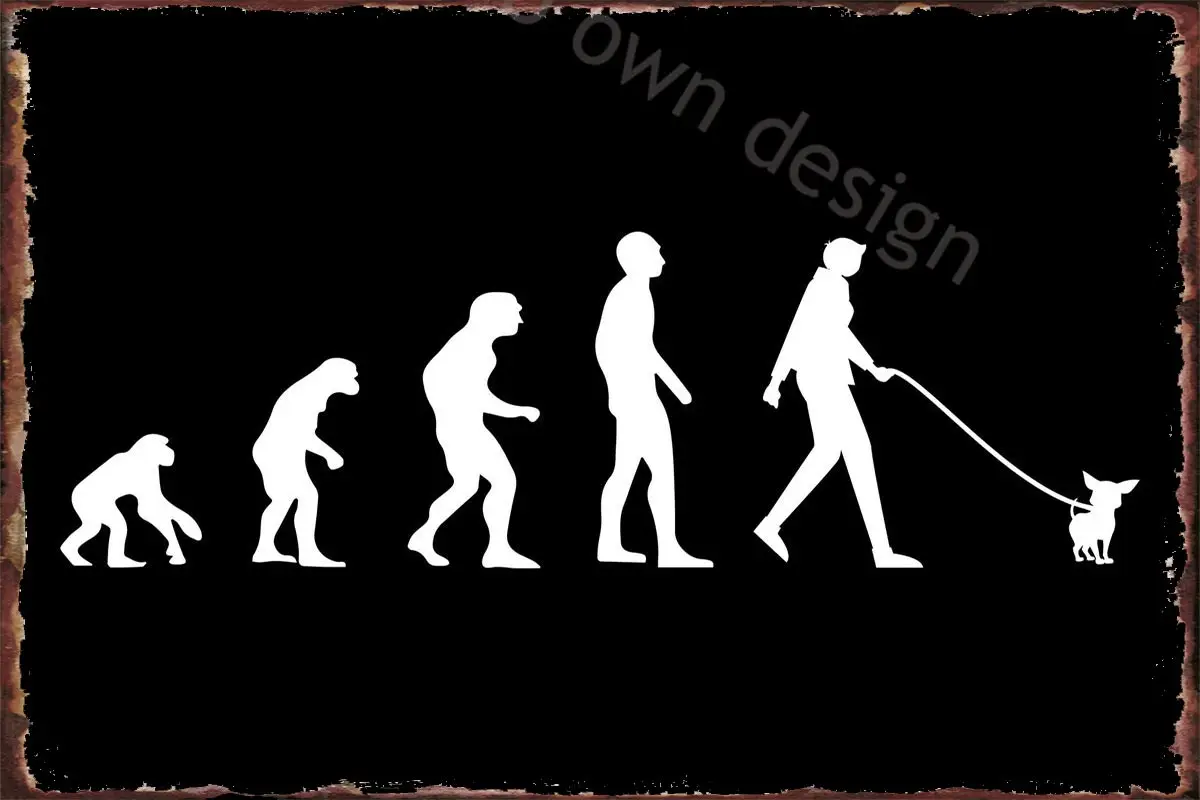 

Chihuahua Evolution Chihua Ретро винтажный металлический знак жестяной знак оловянные пластины Настенный декор для художественного паба дома клуба му...