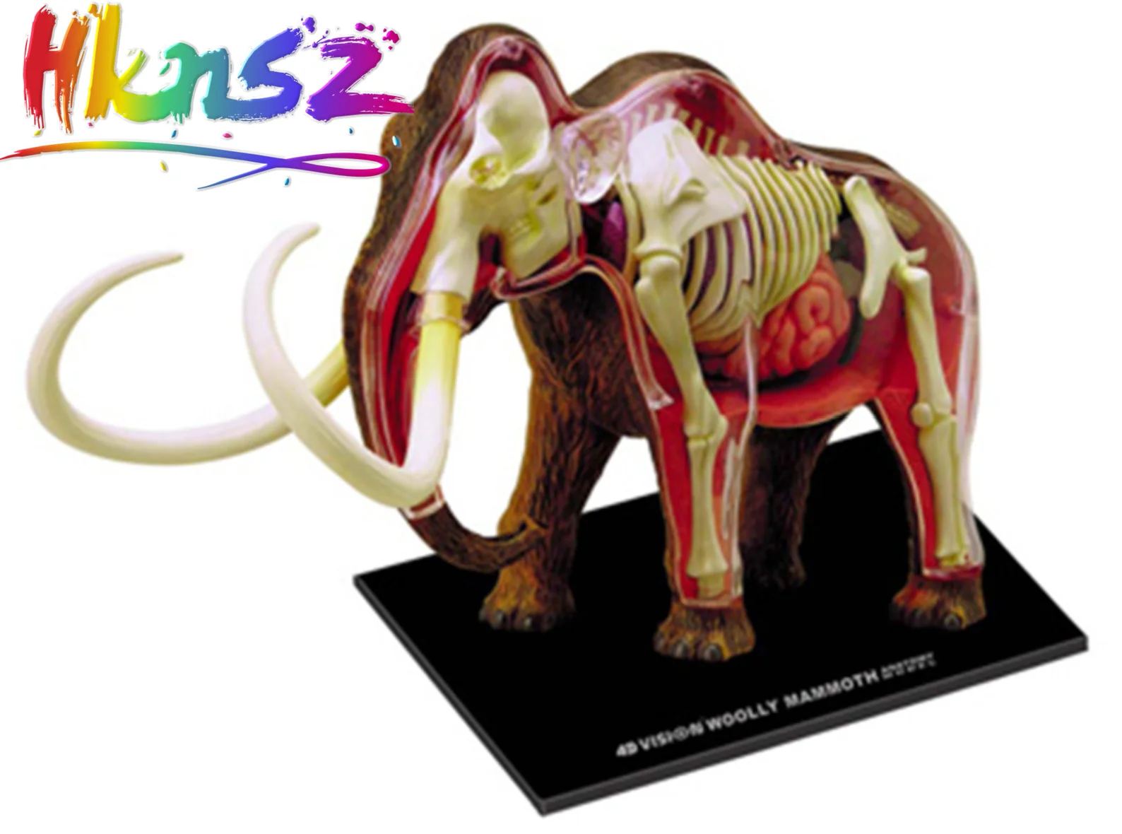 

Mammoth 4d master puzzle Assembling toy Animal Biology organ anatomical model medical teaching model