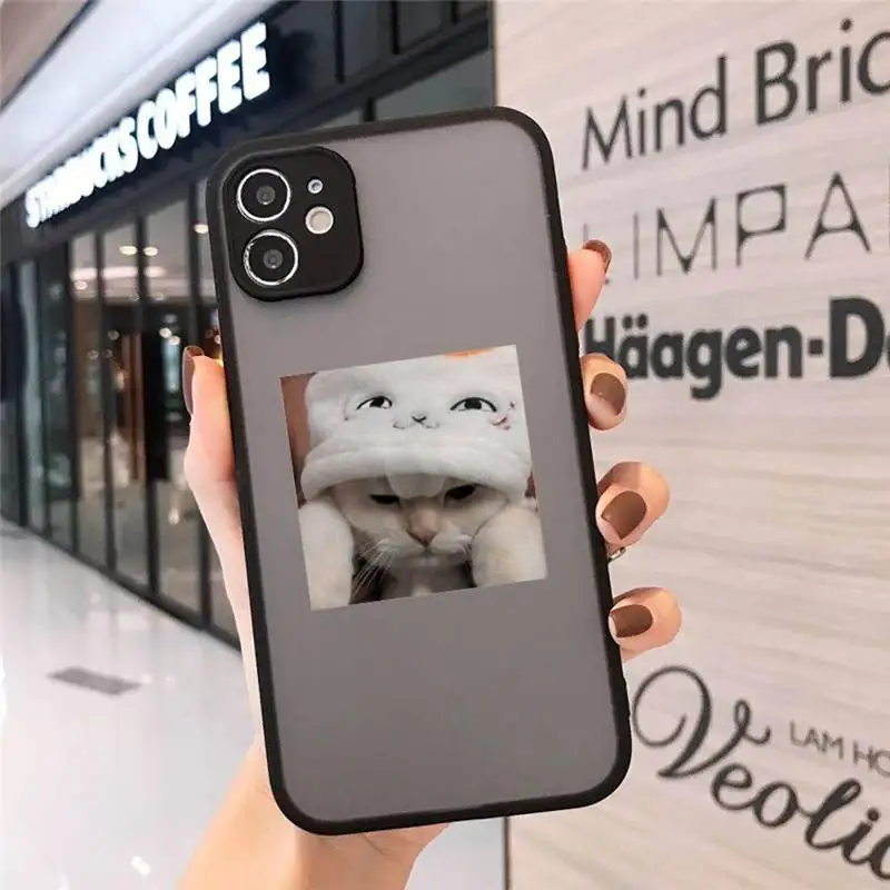 

Phone Case For iPhone 12 11 Mini Pro XR XS Max 7 8 Plus X Cute Cats New Year Gifts Matte transparent cover