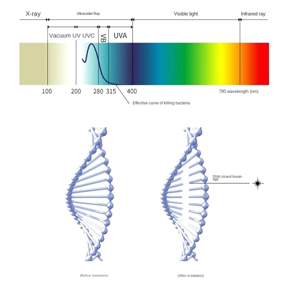 Ручной портативный светодиодный УФ лампа для дезинфекции бактерицидный