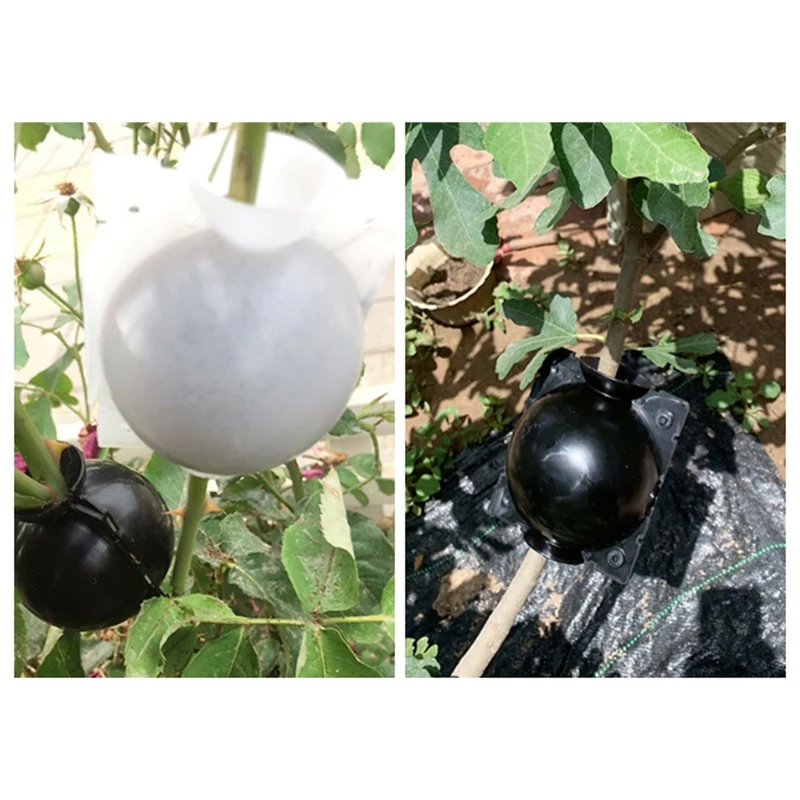 

6Pcs Plant Box Garden Tree Compression Branch Propagation Bulb Rooting