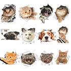 Яркие 3d наклейки на унитаз в виде кота и собаки, домашний декор сделай сам, аксессуары для унитаза, постер с котенком, Мультяшные наклейки на стену, художественные наклейки