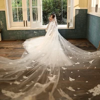 real photo champagne wedding veil 4 meters long bridal veils ivory white applique one layer bride wedding in stock 2020