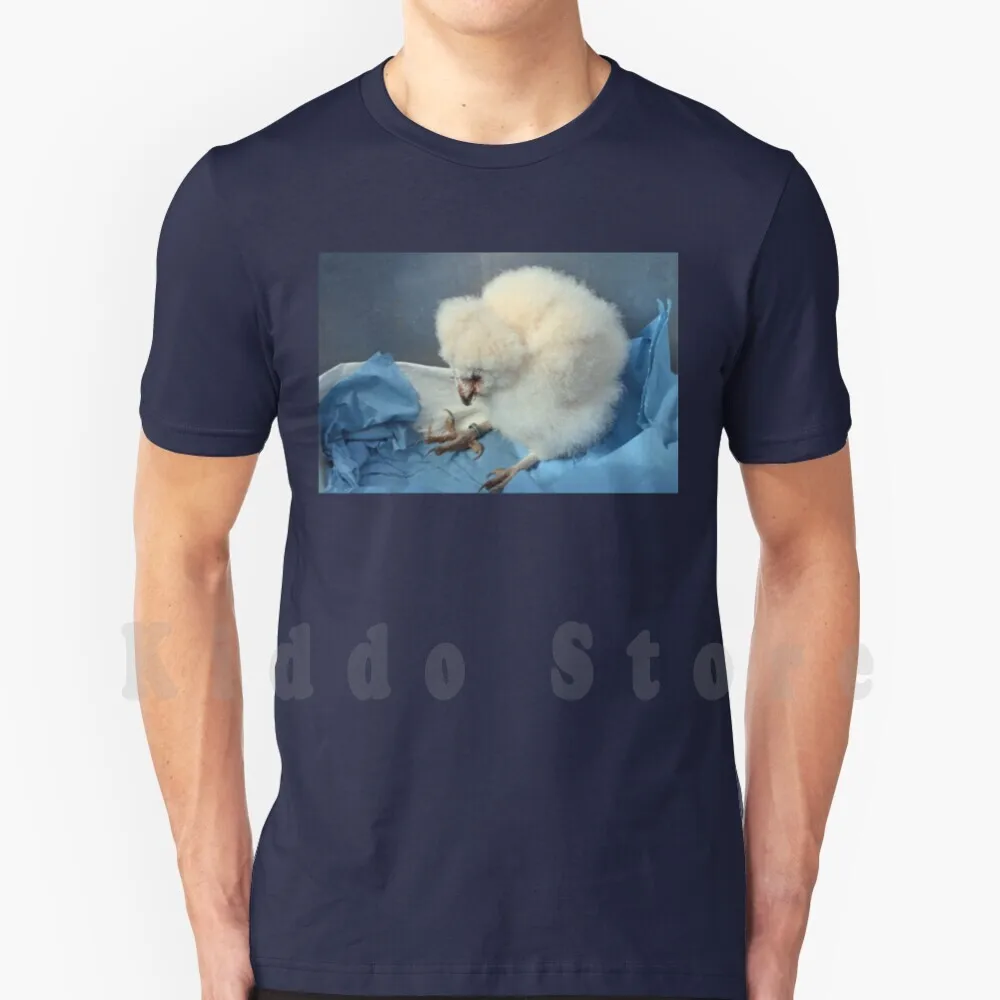 1 месяц Детская Сова ........... Devon Uk футболка мужская хлопок детская сова сарай 2014 08 28