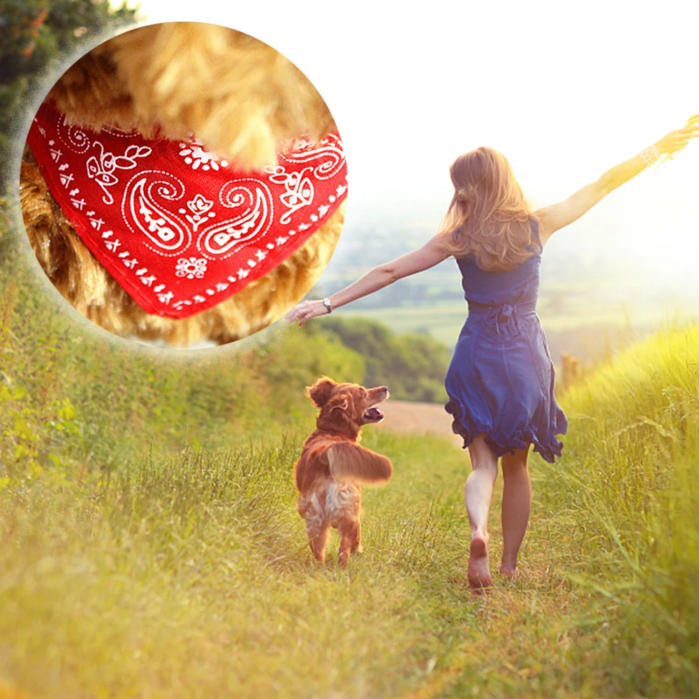 Женская бандана шейный воротник для домашнего питомца поводок шарф аксессуары