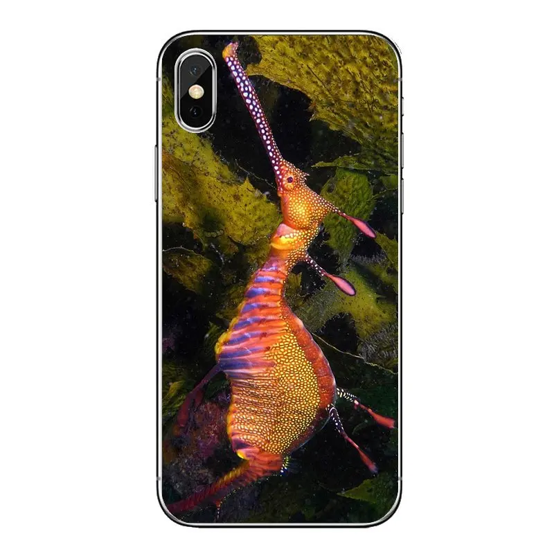 For Samsung Galaxy Note 8 9 S9 S10 A8 A9 Star Lite Plus A6S A9S Soft Transparent Cases Covers sea horse Rainbow Seahorse Pattern |