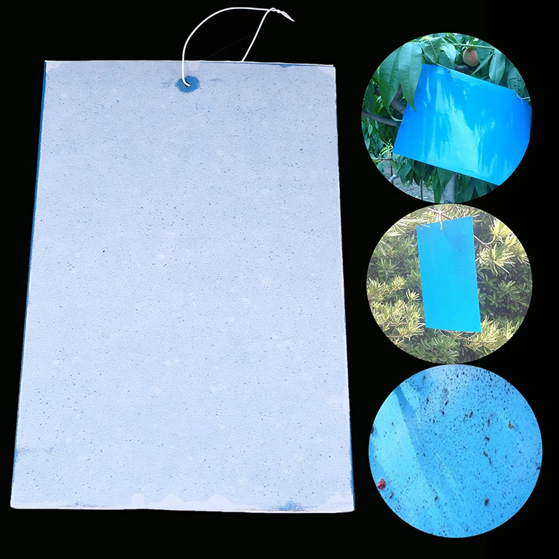 

WHISM 1pc Pest Sticky Board Flies Traps Catching Aphid Insects Killer Pest Control Whitefly Thrip Leafminer Glue Insect Catcher