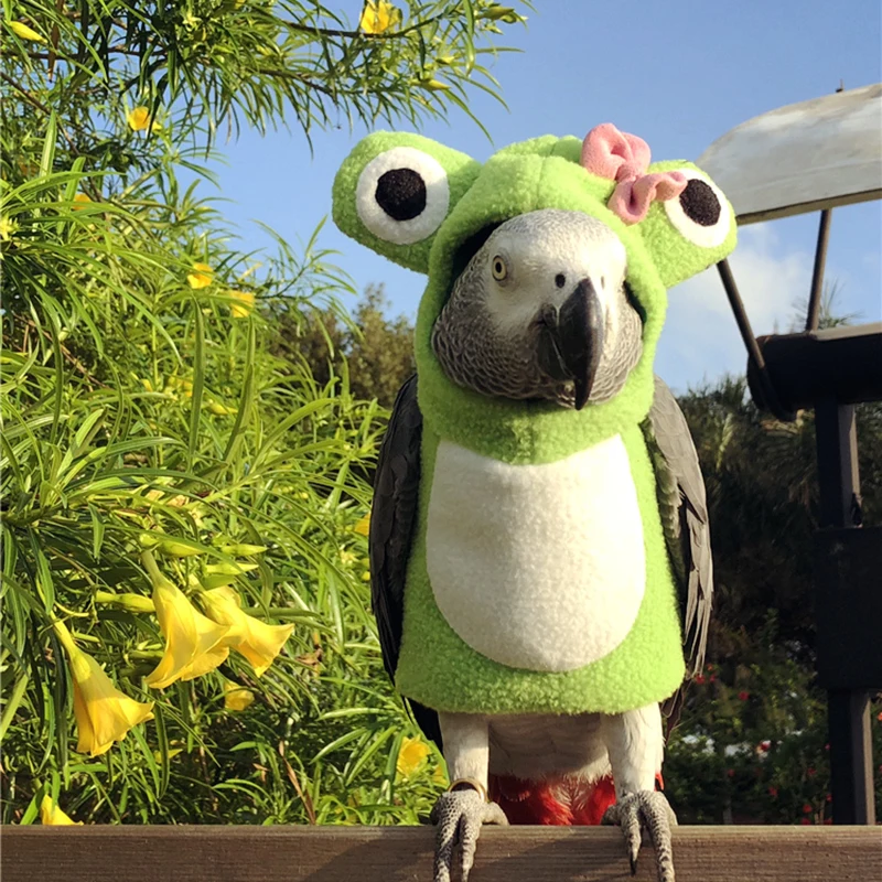 Одежда с птицами подгузник для питомцев попугаев салфетки ручная работа штаны