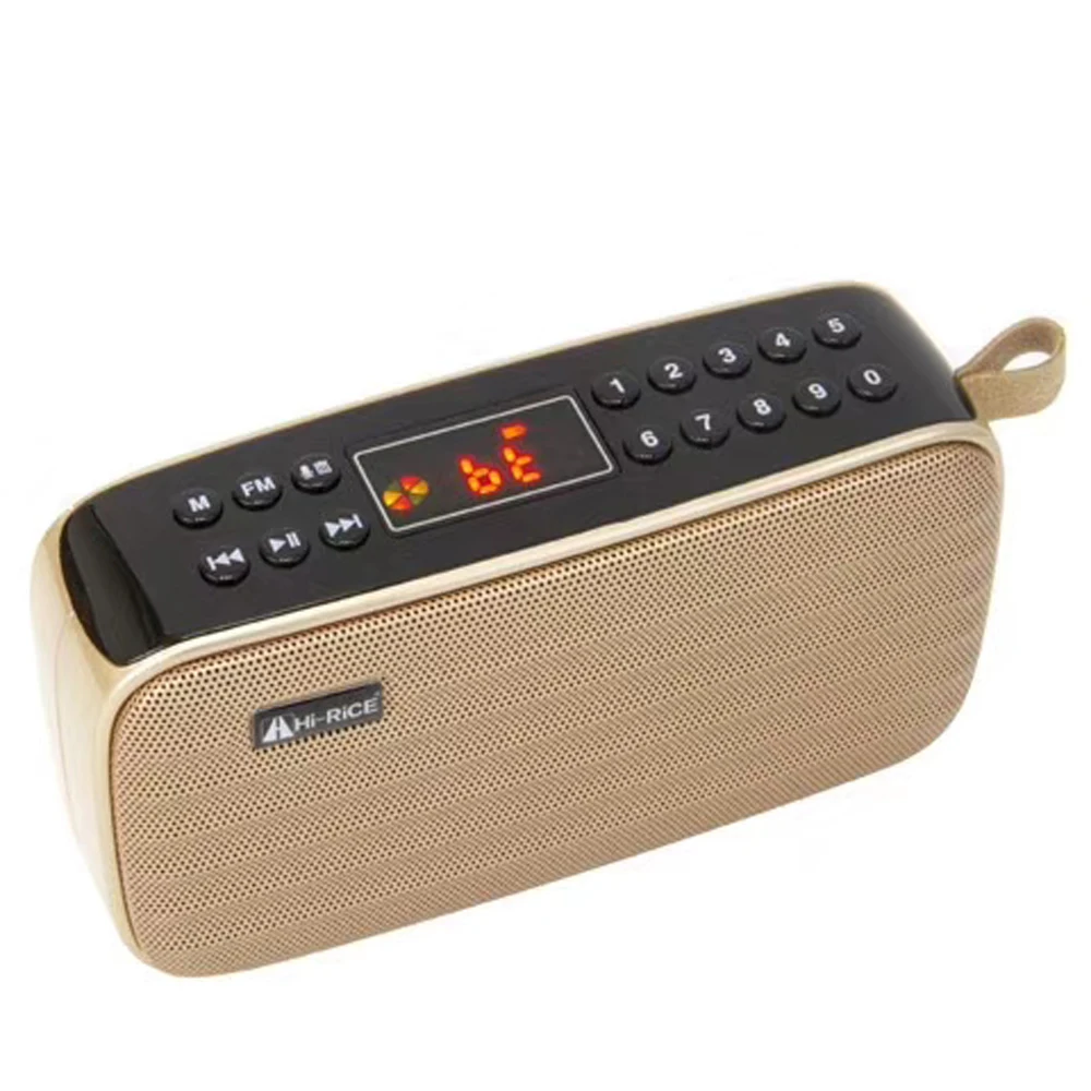 REC LED портативный FM/AM радио USB TF карта MP3 плеер цифровой динамик Bluetooth Hi Rice SD