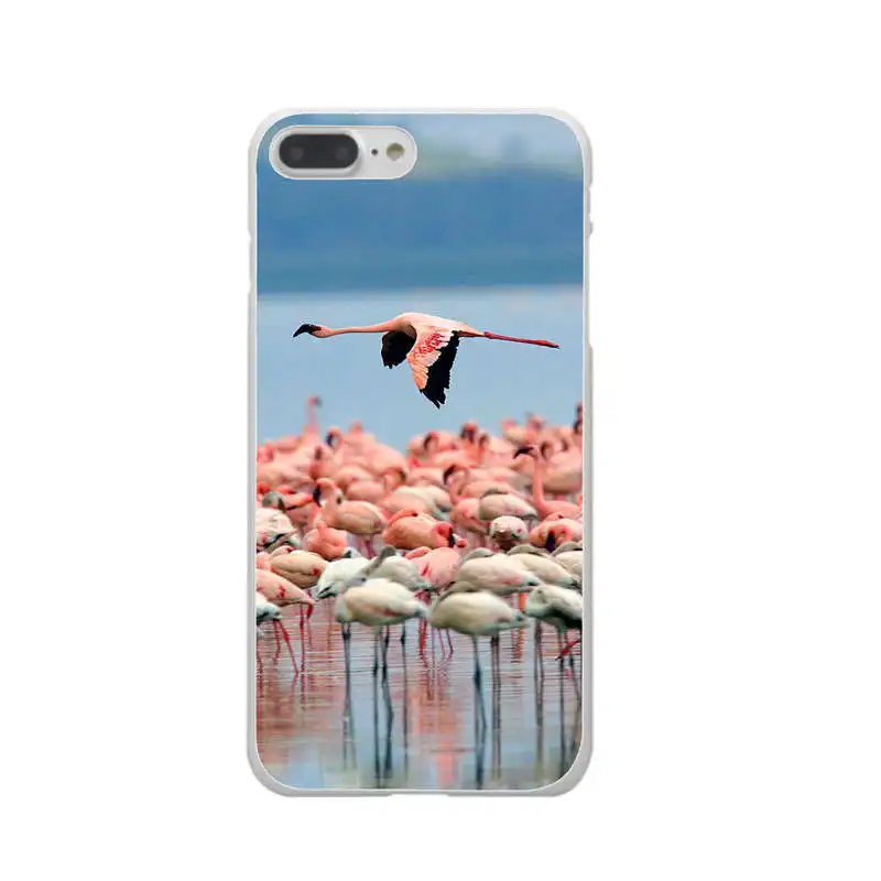Чехлы для телефонов летние Фламинго любовь Мягкий силиконовый прозрачный чехол