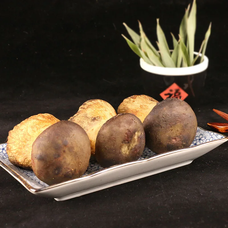 

The girl fresh black porcini 500 grams of fresh porcini edible fungi