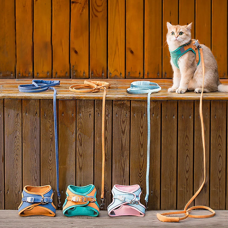 

Cat Dog Harness Adjustable Pet Vest Puppy Luminous Escape Walking Lead Leash Pet Training For Small Medium Large Dogs Cats