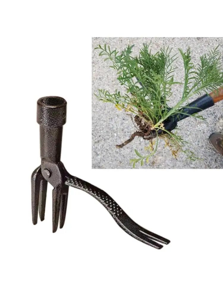 

Garden Tools