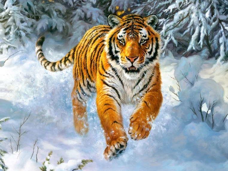 

Full 5D Diy Square Daimond Painting "Snow Tiger" 3D Diamond Painting Round Rhinestones Diamant Painting Embroidery Animal