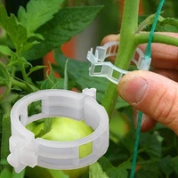 50100pcs 25mm reusable plastic plant support clips clamps for plants hanging vine garden greenhouse vegetables tomatoes clips