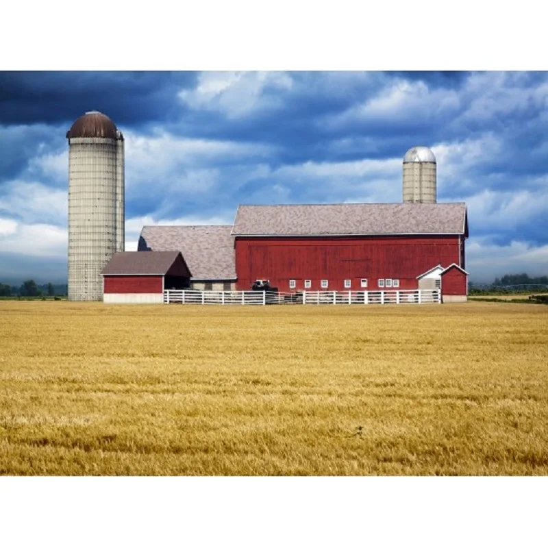 Nitree фотостудия Подставки для фотографий красивый пейзаж фон фотосъемки с фермы и