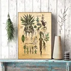 Плакат на холсте с изображением мандры, ведьмастера, гербологии, растений, для украшения стен Гарри фаната