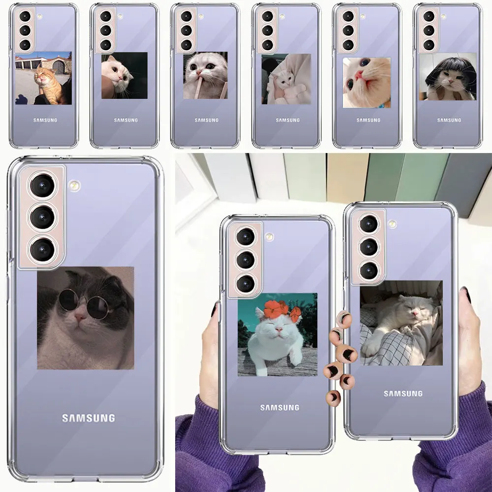 

Cute Cat Pattern Candy Phone Case For Samsung Galaxy S20 FE S21 S10 Plus S10E Note 20 Ultra 10 Lite M31 Silicone Clear Cover