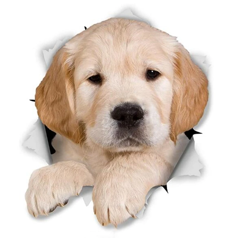 

3d Dog Cute Golden Retriever Puppy Car Sticker for Wall Refrigerator Toilet and Cover Scratch Custom,12CM*9CM