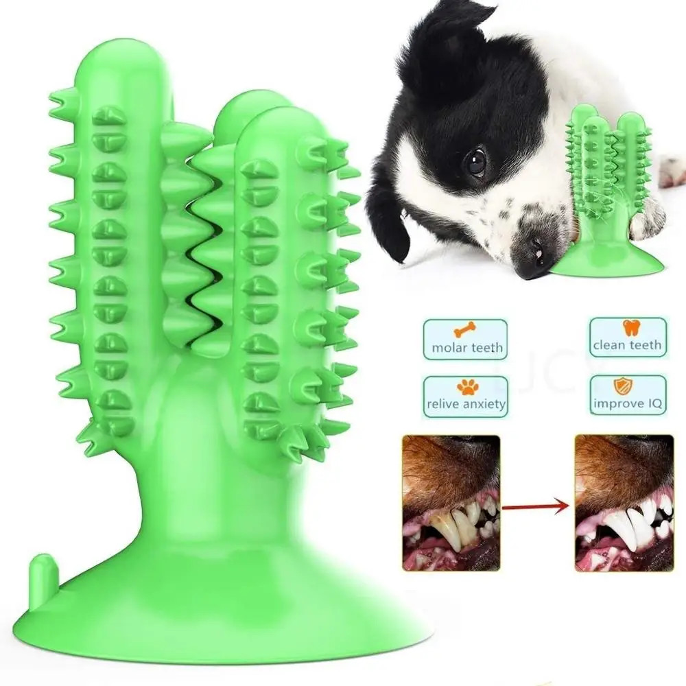 

Dental Chew Toys for Dogs Healthy Fresh Puppy Teeth Cleaning Brush Cactus Large Breed Dog Molar Toothbrush Stick Pet Supplies