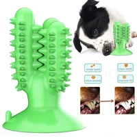 dental chew toys for dogs healthy fresh puppy teeth cleaning brush cactus large breed dog molar toothbrush stick pet supplies