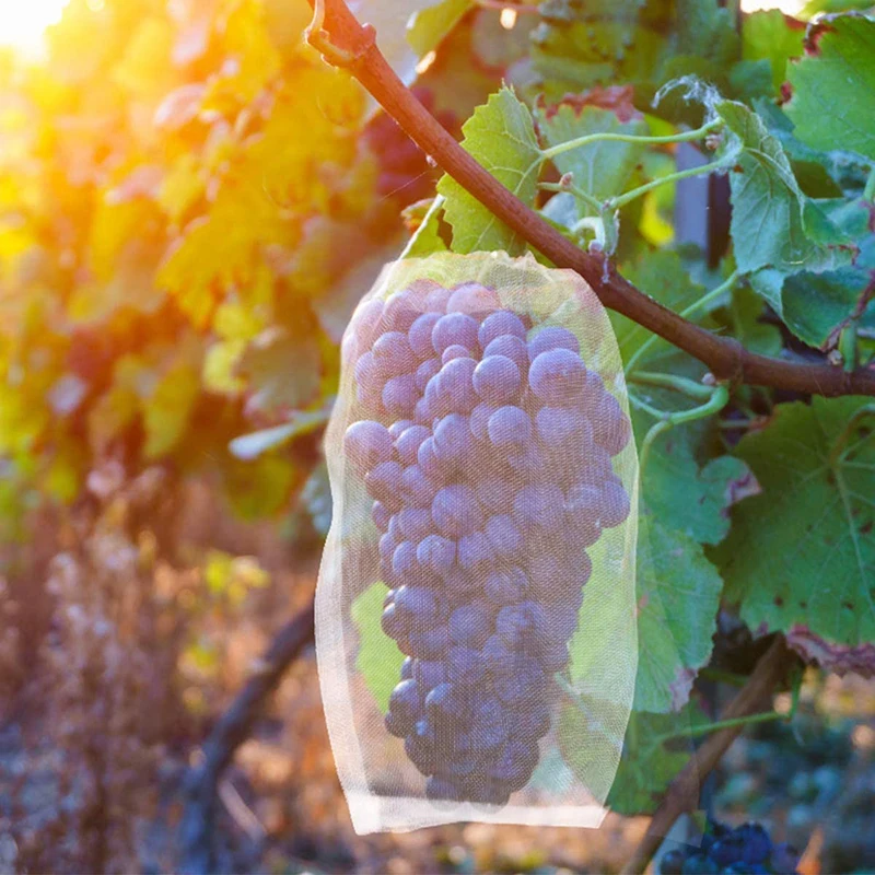 50 шт. сумки для садовых инструментов|Укрытие растений| |