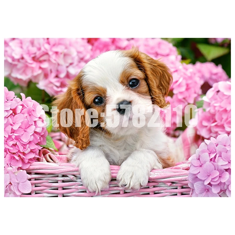 Вышивка с розовыми цветами для собак вышивка 5D сделай сам Полный алмаз крестиком
