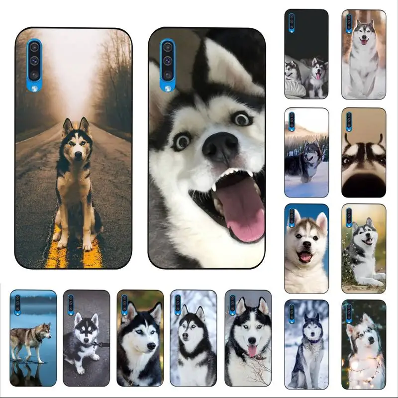 

Yinuoda Alaskan Huskies Dog Phone Case for Samsung A51 01 50 71 21S 70 10 31 40 30 20E 11 A7 2018
