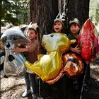1 шт. большое животное джунгли лиса еж белка Тигр Лев Обезьяна Зебра воздушные шары в форме жирафа Детский зоопарк товары для дня рождения