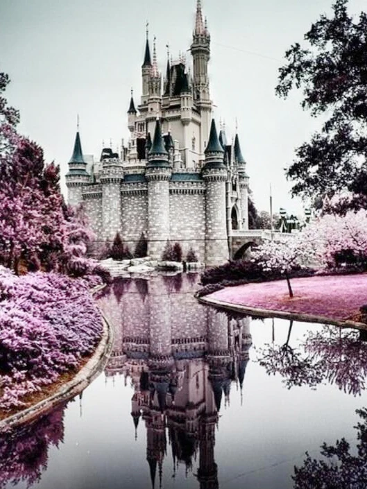 

Наборы для вышивки крестом A3248 11CT/14CT/18CT/25CT/28CT, наборы для рукоделия