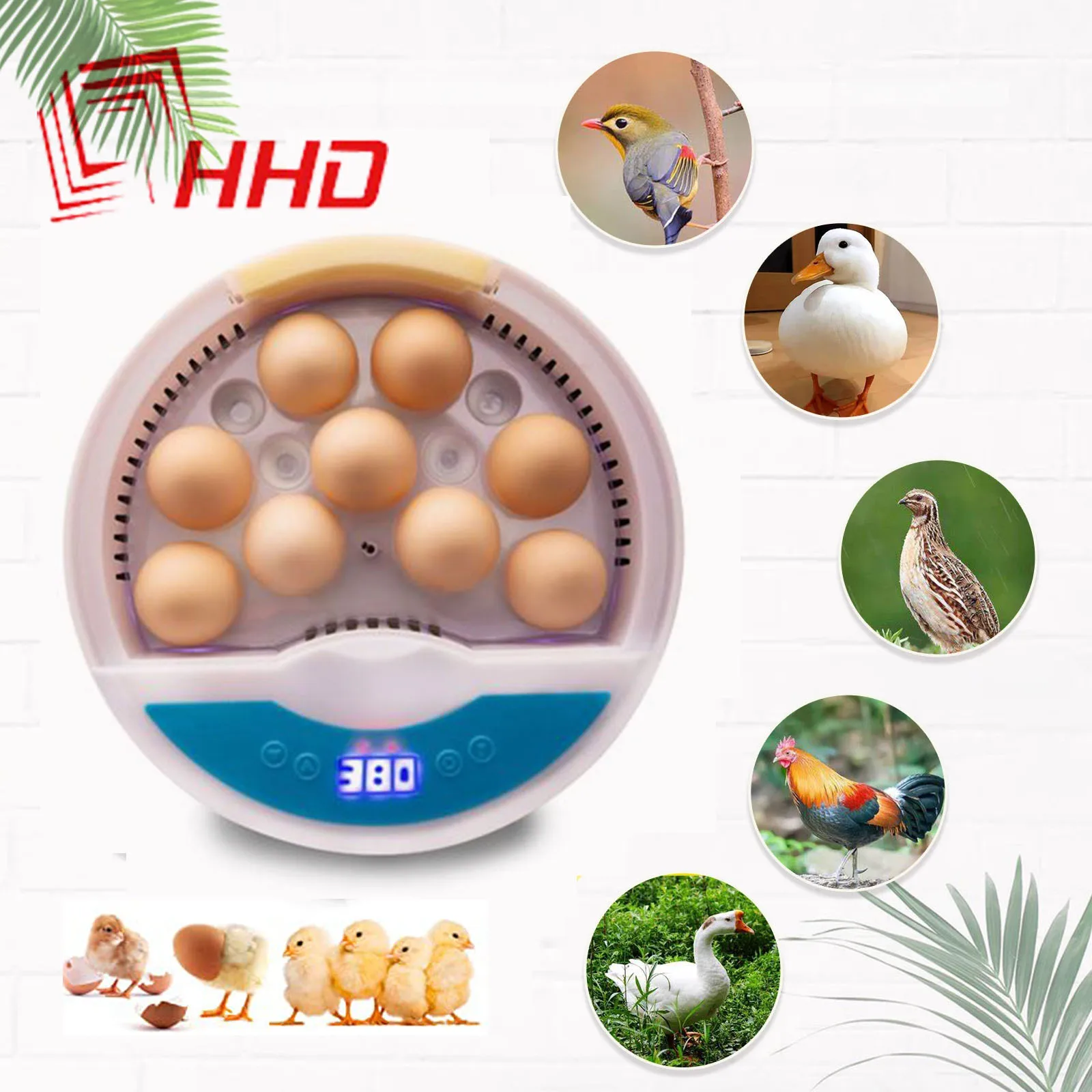 9 Eggs Incubator Digital Mini Automatic Egg Hatcher Machine with Turner for Hatching Pigeon Turkey Goose Quail Chicken | Дом и сад