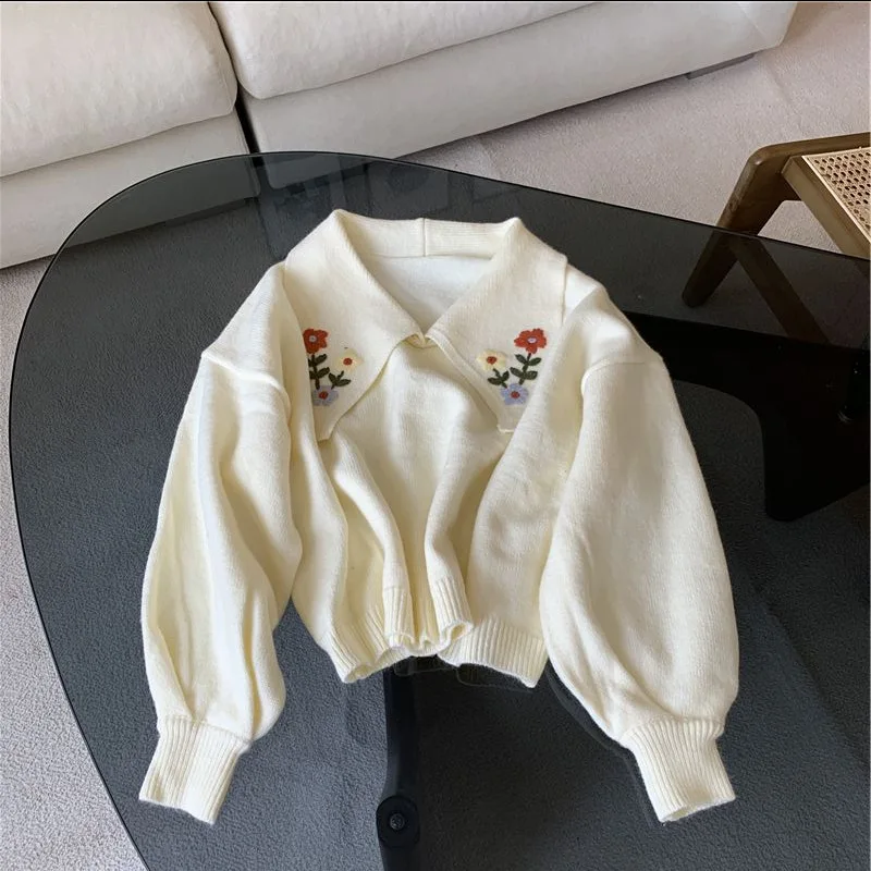 

Jane Deiune New Autumn Winter Women Korean Style Lantern Sleeve Embroider Loose Sweater Fashion Knitted Pullovers Streetwear