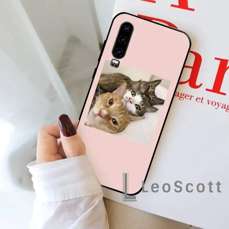 

Aesthetic Cute Animal Cat Phone Case For Huawei P9 P10 P20 P30 Pro Lite smart Mate 10 Lite 20 Y5 Y6 Y7 2018 2019