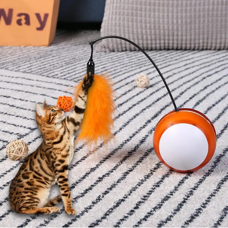 Cat Toy Classic Colors and Simple Durable Design Electric Ball Laser Light Feather Stick Interactive Teasing Pet Supplies | Дом и сад