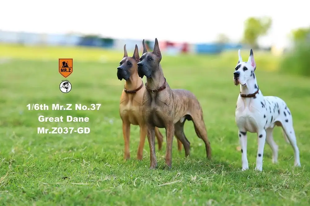 Модель Mr. Z Animal No.37: 1/6 немецкий великолепный Дейн (все 6 цветов) для фигурных