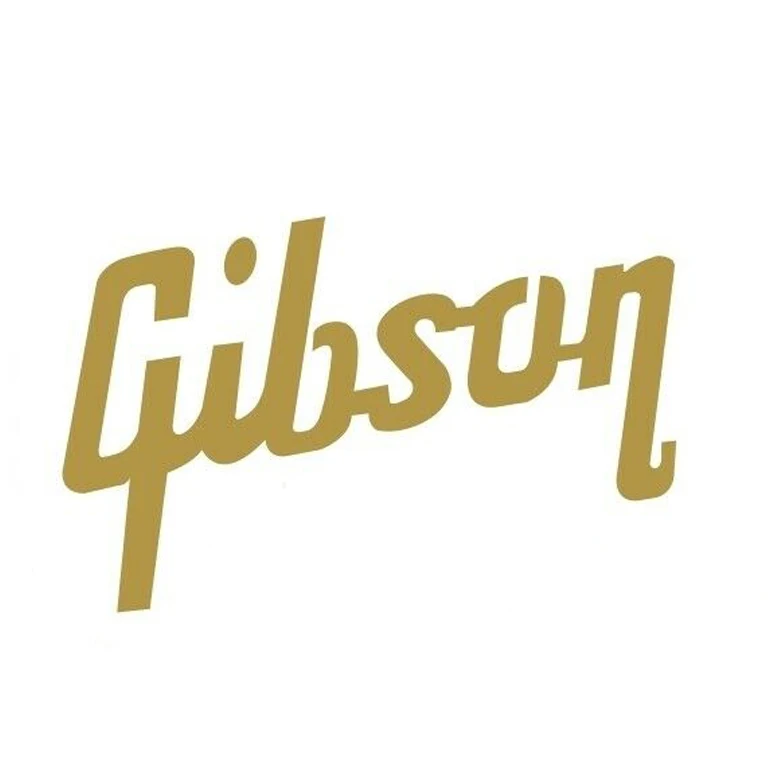 Забавные Gibson пользовательские гитарная надпись специальные гитары бабки водная