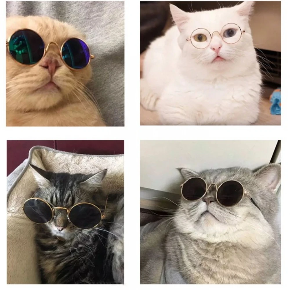 1PC Lovely Pet Cat Glasses Dog Products For Little Eye-wear Protection Sunglasses Photos Accessories | Дом и сад