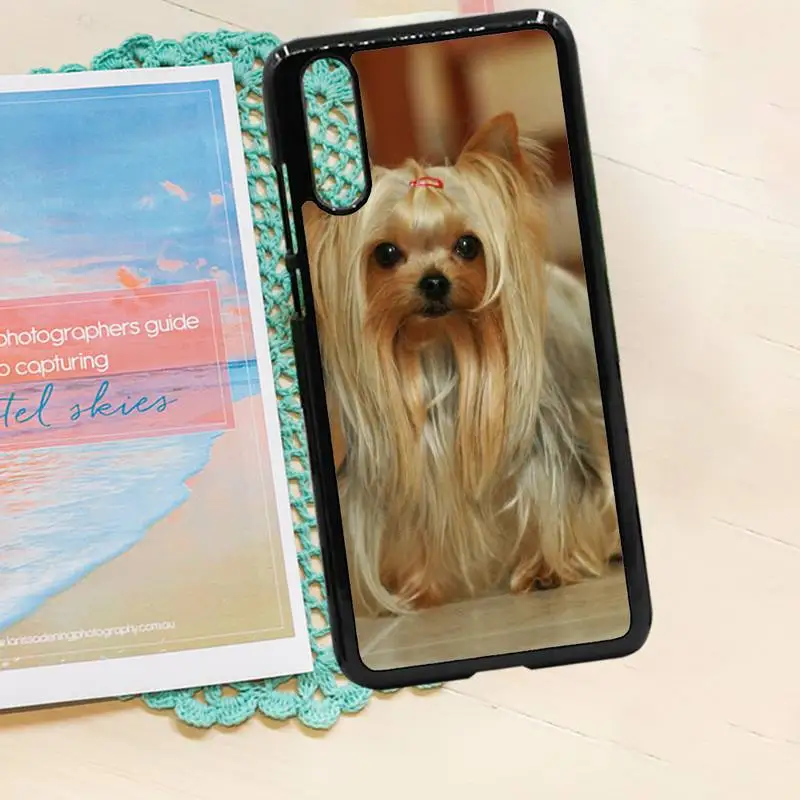 

Yorkshire Terrier cute dog luxury brand shell Phone Case PC for iPhone 11 12 pro XS MAX 8 7 6 6S Plus X 5S SE 2020 XR