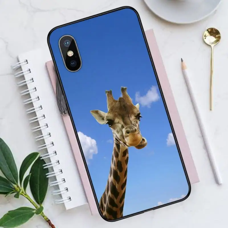 

Giraffe funny funny blue sky grass Phone Case for iPhone 11 12 mini pro XS MAX 8 7 6 6S Plus X 5S SE 2020 XR