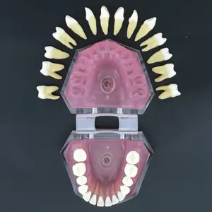 Стоматологическая мягкая резинка стандартная модель с 28 шт. съемные зубы #7008