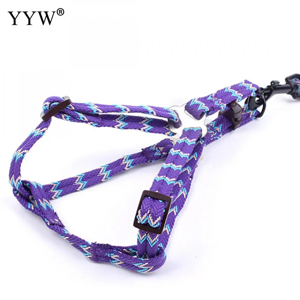 Ошейник для собак регулируемый шлейка среднего и маленького размера из