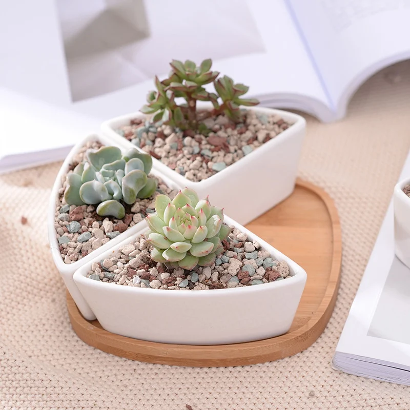 Керамический семейный многоугольный цветочный горшок шестигранный + бамбуковый