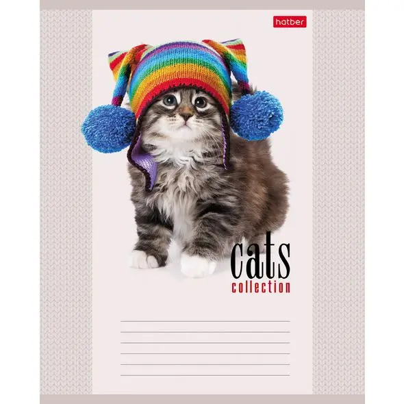 Набор тетрадей 12 л. х 20 шт Hatber &quotКототерапия&quot клетка на скобе 5 обложек |